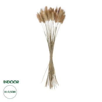 GloboStar® Artificial Garden REAL DRIED BEIGE WHEAT BUNCH  21219 Αποξηραμένο Διακοσμητικό Μπουκέτο Σιταριού Y50cm - Σετ 30 τμχ GloboStar® Artificial Garden REAL DRIED BEIGE WHEAT BUNCH  21219 Αποξηραμένο Διακοσμητικό Μπουκέτο Σιταριού Y50cm - Σετ 30 τμχ