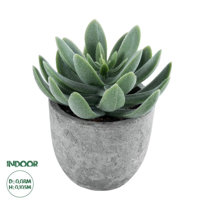 GloboStar® Artificial Garden SUCCULENT SEDEVERIA 21025 Διακοσμητικό Φυτό Παχύφυτο Σεντεβέρια Υ10.5cm GloboStar® Artificial Garden SUCCULENT SEDEVERIA 21025 Διακοσμητικό Φυτό Παχύφυτο Σεντεβέρια Υ10.5cm